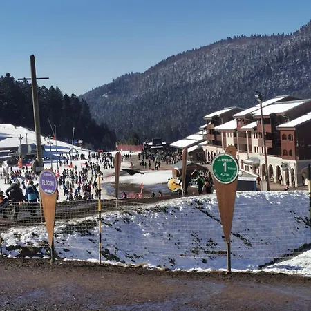 Le Cocon De Litia 아파트 *